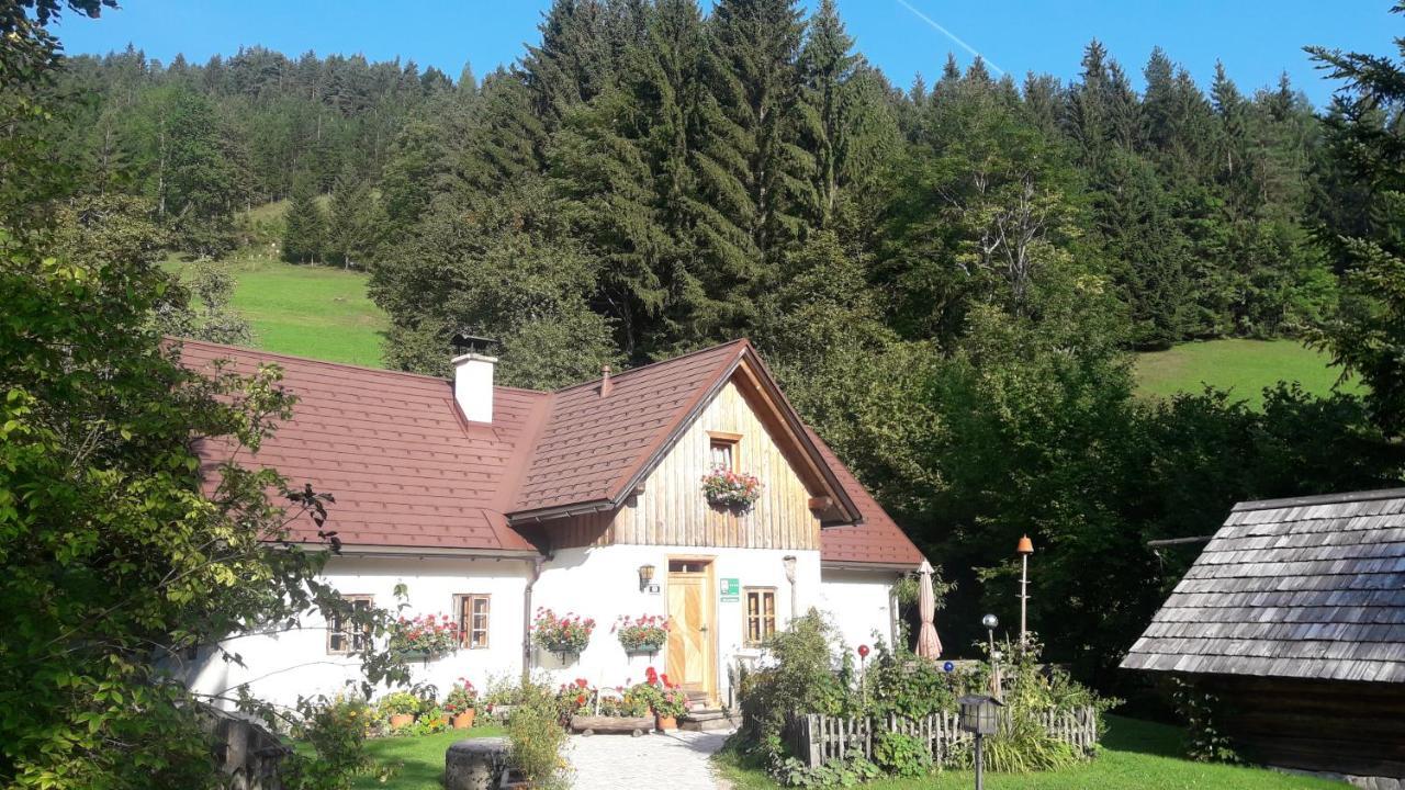 Ferienhaus Lenzau Strohmarkt Extérieur photo